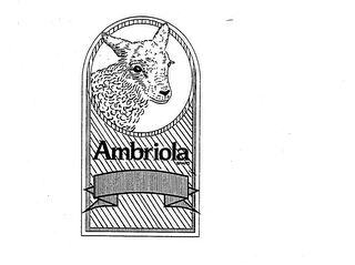 AMBRIOLA BRAND