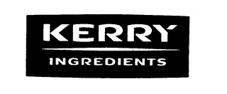 KERRY INGREDIENTS