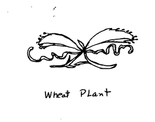 WHEAT PLANT