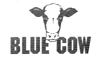 BLUE COW