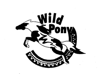 WILD PONY