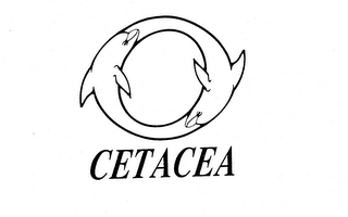 CETACEA