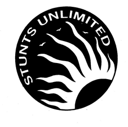 STUNTS UNLIMITED