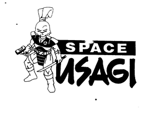 SPACE USAGI