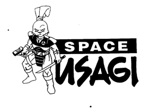 SPACE USAGI