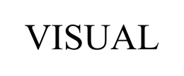 VISUAL trademark