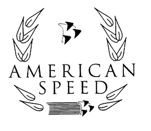 AMERICAN SPEED