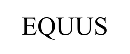 EQUUS COMPUTER SYSTEMS, INC.