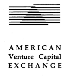 AMERICAN VENTURE CAPITAL EXCHANGE