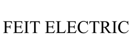 FEIT ELECTRIC COMPANY logo