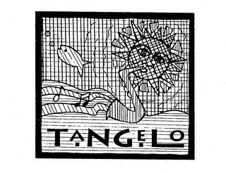 TANGELO