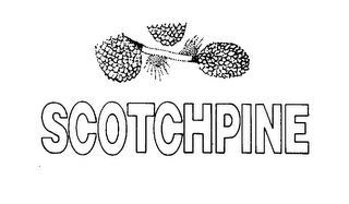 SCOTCHPINE