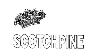 SCOTCHPINE