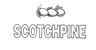 SCOTCHPINE