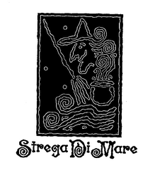 STREGA DI MARE