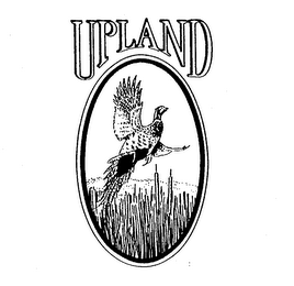 UPLAND