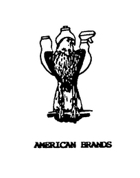 AMERICAN BRANDS