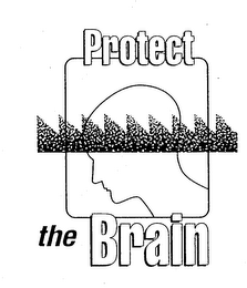 PROTECT THE BRAIN