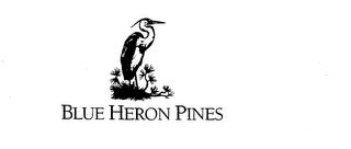 BLUE HERON PINES