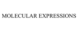 MOLECULAR EXPRESSIONS
