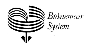 BRANEMARK SYSTEM