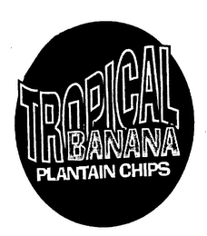 TROPICAL BANANA PLANTAIN CHIP