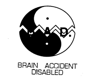 B A D BRAIN ACCIDENT DISABLED