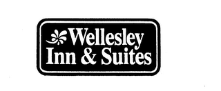 WELLESLEY INN & SUITES