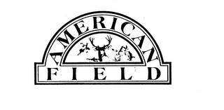 AMERICAN FIELD