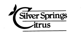 SILVER SPRING CITRUS