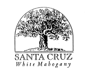 SANTA CRUZ WHITE MAHOGANY