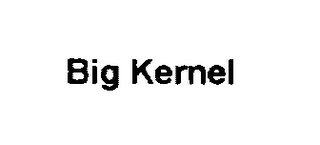 BIG KERNEL