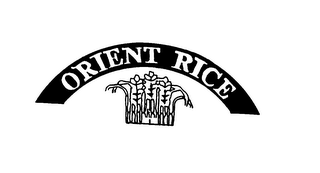 ORIENT RICE