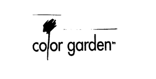 COLOR GARDEN