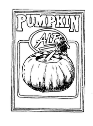 PUMPKIN ALE