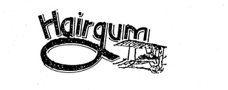 HAIRGUM