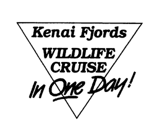 KENAI FJORDS WILDLIFE CRUISE IN ONE DAY!