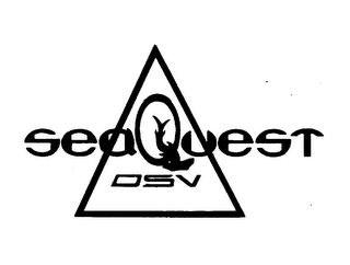 SEAQUEST DSV