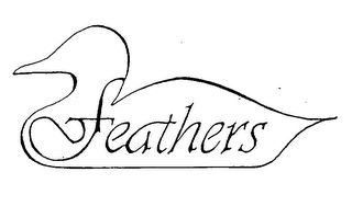 FEATHERS