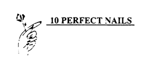10 PERFECT NAILS