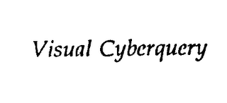 VISUAL CYBERQUERY