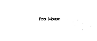 FOOT MOUSE