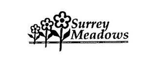 SURREY MEADOWS