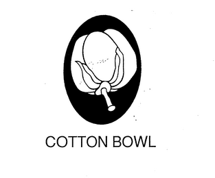 COTTON BOWL