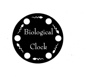 BIOLOGICAL CLOCK