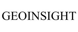 GeoInsight, Inc.