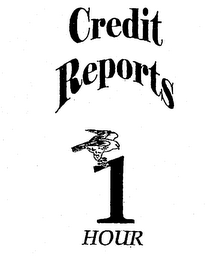 CREDIT REPORTS 1 HOUR