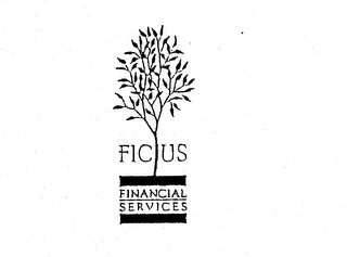 FICUS FINANCIAL SERVICES
