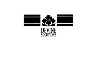 DEVINE SOLUTIONS