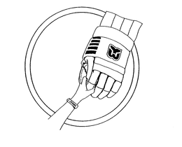 Hurricanes Hockey Limited Partnership, National Hockey League